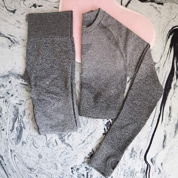 Ombre Seamless 2 Piece Set Women Sport Suit Gym Workout Clothes Long Sleeve Fitness Crop Top And Scrunch Butt Leggings Yoga Set
