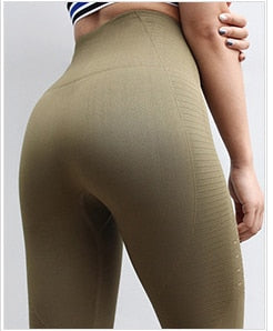 High Waisted Yoga Pants Shark Gym Seamless Leggings High Elastic Exercise Tights Women Pants for Fitness Yoga Running Sports