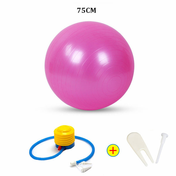 Sports Yoga Balls Bola Pilates Fitness Ball Gym Balance Fitball Exercise Pilates Workout Massage Ball with Pump 55cm 65cm 75cm