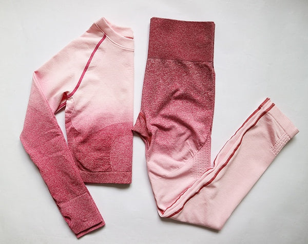 2 Pcs Yoga Set Women Long Sleeve Crop Top And High Waisted Tummy Control Sport Leggings Gym Clothing Ombre Seamless Sport Suit