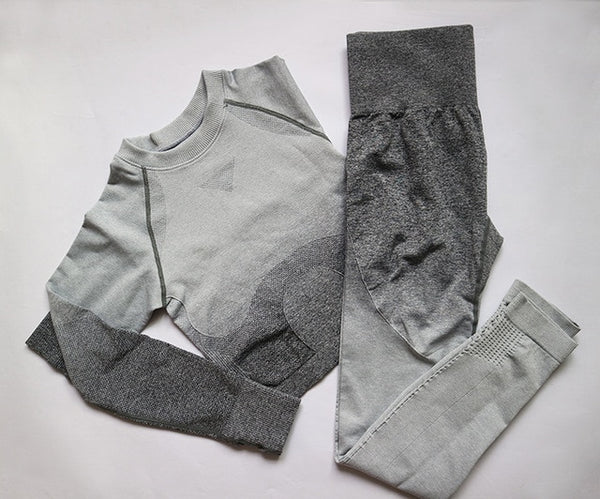 2 Pcs Yoga Set Women Long Sleeve Crop Top And High Waisted Tummy Control Sport Leggings Gym Clothing Ombre Seamless Sport Suit