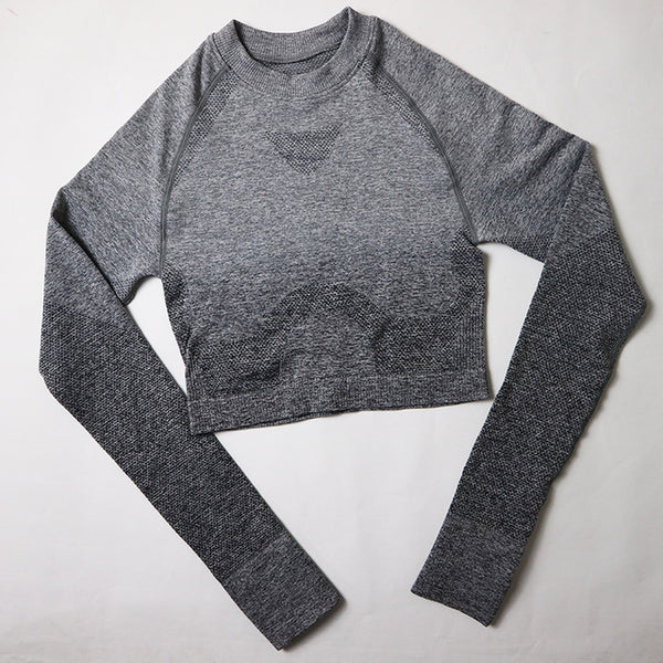 2 Pcs Yoga Set Women Long Sleeve Crop Top And High Waisted Tummy Control Sport Leggings Gym Clothing Ombre Seamless Sport Suit