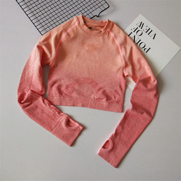 2 Pcs Yoga Set Women Long Sleeve Crop Top And High Waisted Tummy Control Sport Leggings Gym Clothing Ombre Seamless Sport Suit